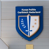 Concrete truck crashed into fence of residence