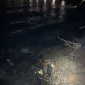 Police Arrest Saturday afternoon Armed Robbery Suspect. Search continues for two more suspects