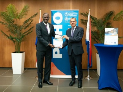 Final STEPS Survey Report Submitted to Minister of VSA. Stakeholder Session Late Nov.